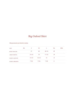 Cherry Big Oxford Shirt (Pink) New
