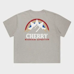 Cherry Mountain Expedition Boxy Pocket Tee (Heather Grey) Flash Sale