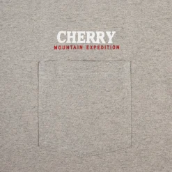 Cherry Mountain Expedition Boxy Pocket Tee (Heather Grey) Flash Sale
