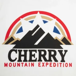 Cherry Mountain Expedition Boxy Pocket Tee (White) New